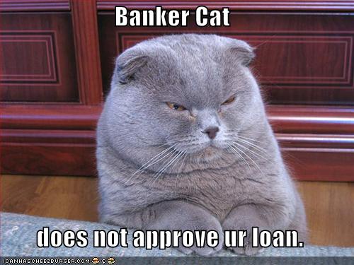 funny-pictures-banker-cat