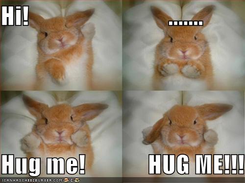 funny-pictures-bunny-wants-hug
