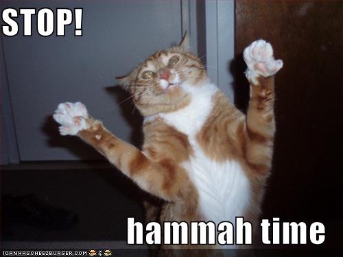 funny-pictures-mc-hammer-cat