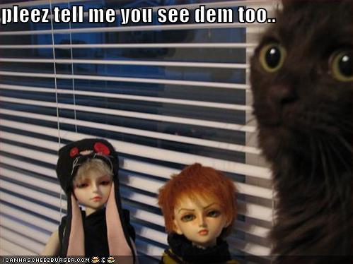 funny-pictures-scared-cat-dolls