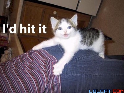 idhititkitten