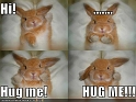 funny-pictures-bunny-wants-hug