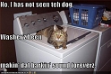 funny-pictures-cat-washing-machine-dog