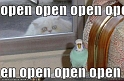 funny-pictures-crazy-cat-bird-window-open