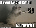 funny-pictures-kitten-bites-cable