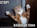 funny-pictures-mc-hammer-cat