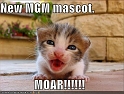 funny-pictures-mgm-mascot-kitten