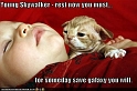 funny-pictures-yoda-cat-baby-sleeps