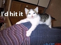 idhititkitten